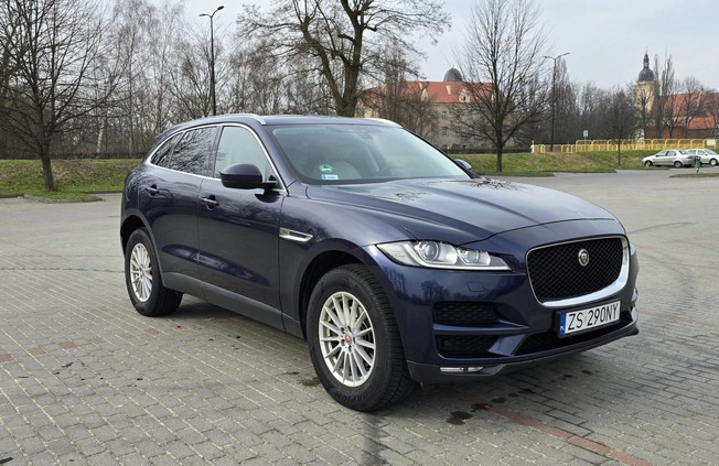 Jaguar F-Pace cena 109900 przebieg: 154000, rok produkcji 2016 z Hel małe 106